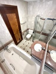 Sunshine Plaza (D7), Apartment #495551571